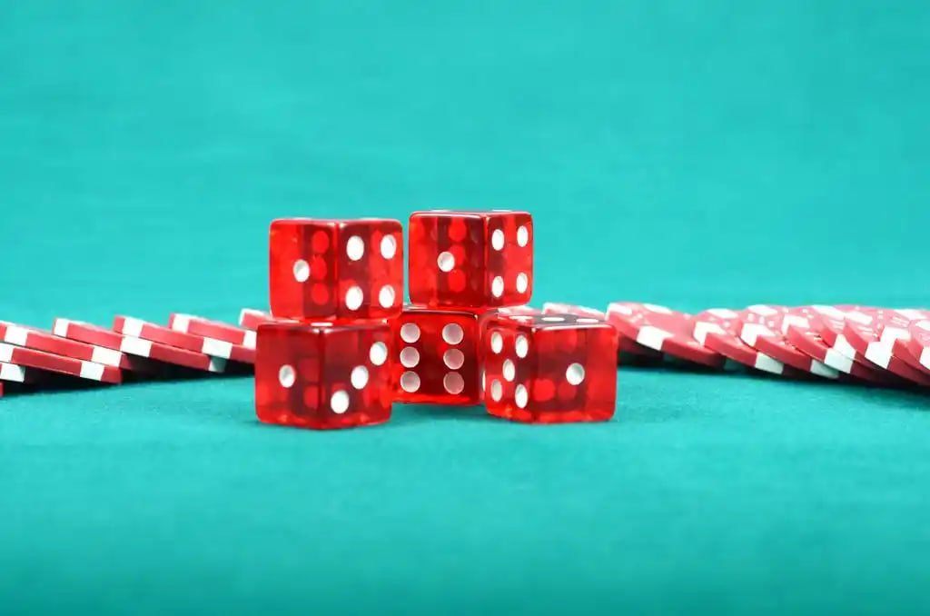 nn55 bet