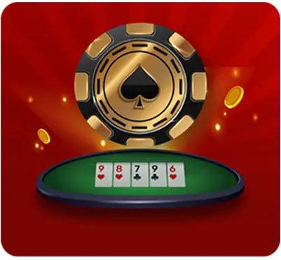 nn55 bet