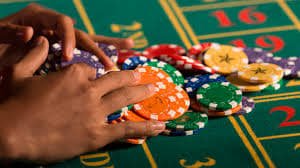 nn55 bet