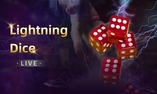 nn55 bet
